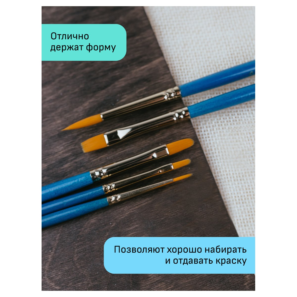 Набор художественных кистей синтетика Гамма «Галерея», 6шт., круглые №2/0, 3, 6, плоские №2, 8, веерные № 4, блистер, европодвес