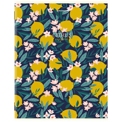 Тетради КОМПЛЕКТ 3 шт. А4, 96 л., BRAUBERG, скоба, клетка, глянцевый лак, «Fruits»