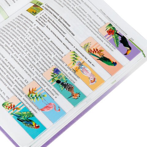 Закладки для книг МАГНИТНЫЕ, «TROPICS», набор 12 шт., 60×20 мм, BRAUBERG
