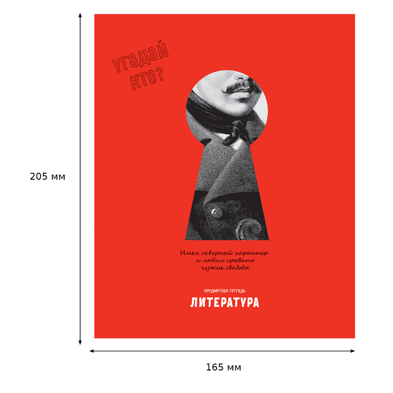 Тетрадь предметная 48л. BG «Угадай кто» - Литература, матовая ламинация, выборочный лак