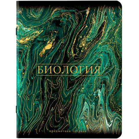 Тетради предметные, КОМПЛЕКТ 12 ПРЕДМЕТОВ, «MARBLE», 48 л., SoftTouch, фольга, BRAUBERG
