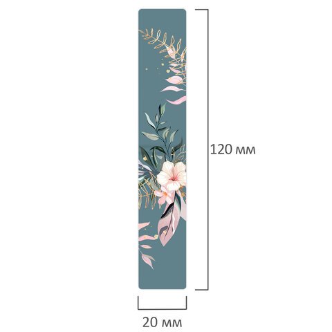 Закладки для книг МАГНИТНЫЕ, «TROPICS», набор 12 шт., 60×20 мм, BRAUBERG