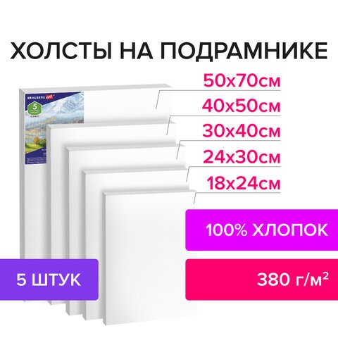 Холсты на подрамнике BRAUBERG ART «CLASSIC», набор 5 шт., грунтованные, 100% хлопок, среднее зерно