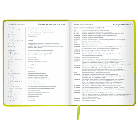 Дневник 1-11 класс 48 л., обложка кожзам (твердая), тиснение, аппликация, BRAUBERG, «Super Avo»