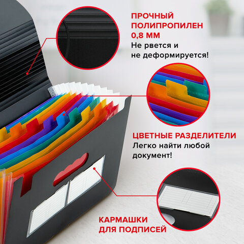 Папка-органайзер для бумаг и документов на резинке, 13 отделений, BRAUBERG DOCS, А4, черная