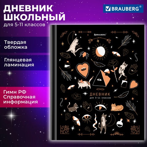 превью Дневник 5-11 класс 48 л., твердый, BRAUBERG, глянцевая ламинация, с подсказом, «Astro cats»