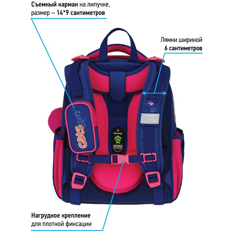 Ранец Berlingo Expert «Surprised cat» 37×28×16см, 2 отделения, 2 кармана, анатомическая спинка