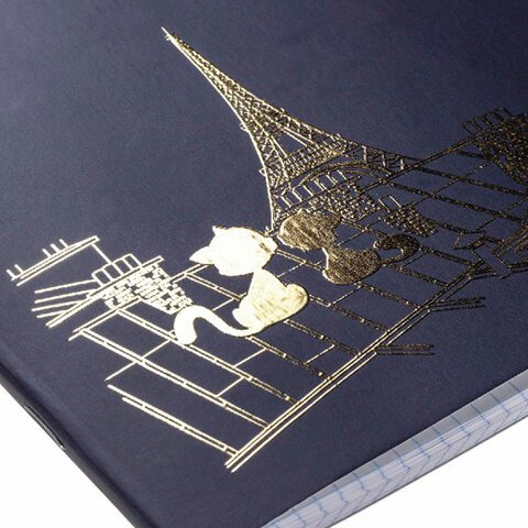 Тетрадь А5 48 л. HATBER скоба, клетка, матовая ламинация, 3D, «Romantic» (5 видов в спайке)