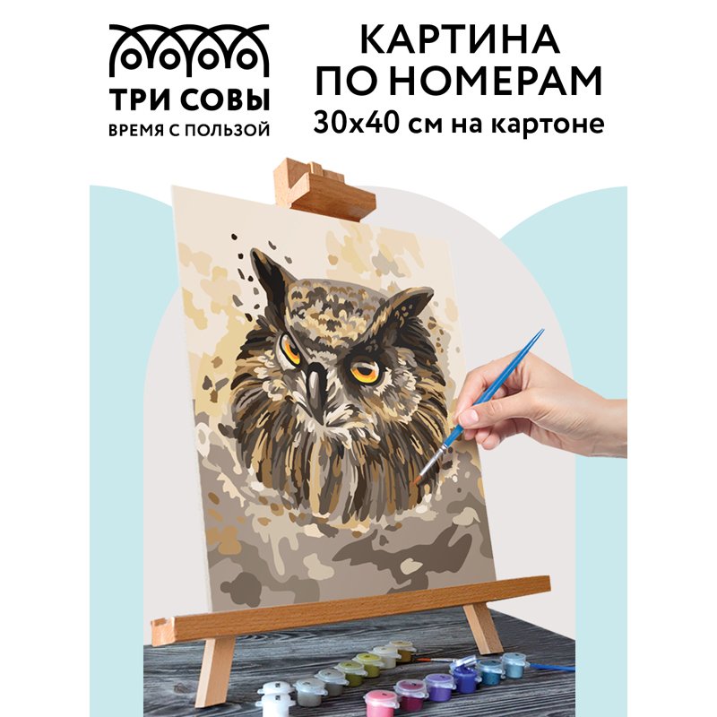 Картина по номерам на картоне ТРИ СОВЫ «Мудрый филин», 30×40, с акриловыми красками и кистями
