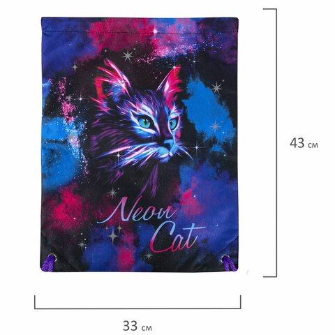 Мешок для обуви BRAUBERG PREMIUM, карман, подкладка, светоотражайка, 43×33 см, «Neon cat»