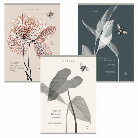 превью Тетрадь А4 80 л. ПЗБМ, скоба, клетка, Soft Touch, брайль, «Латынь» (микс в спайке)