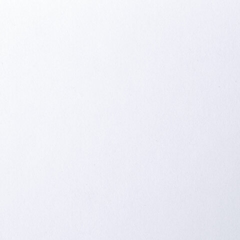 Папка для рисования А4, 20 л., 160 г/м2, BRAUBERG, 210×297 мм, «Орел»