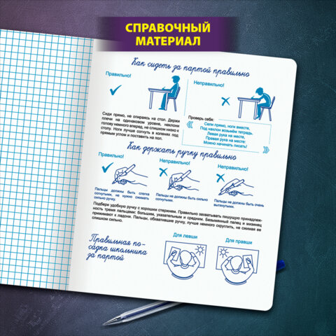 Тетрадь УЧУСЬ ПИСАТЬ № 6 12 л. клетка, со справочным материалом, обложка картон, ЮНЛАНДИЯ