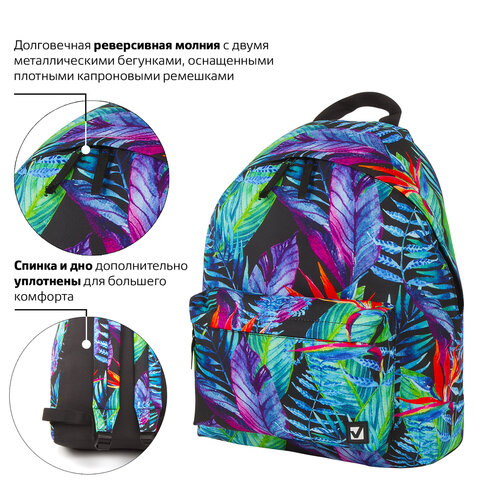Рюкзак BRAUBERG, универсальный, сити-формат, «Экзотика», 20 литров, 41×32х14 см