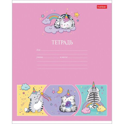 Тетрадь 12 л. HATBER клетка, обложка картон, «Приключения кота Пирожка» (5 видов в спайке)