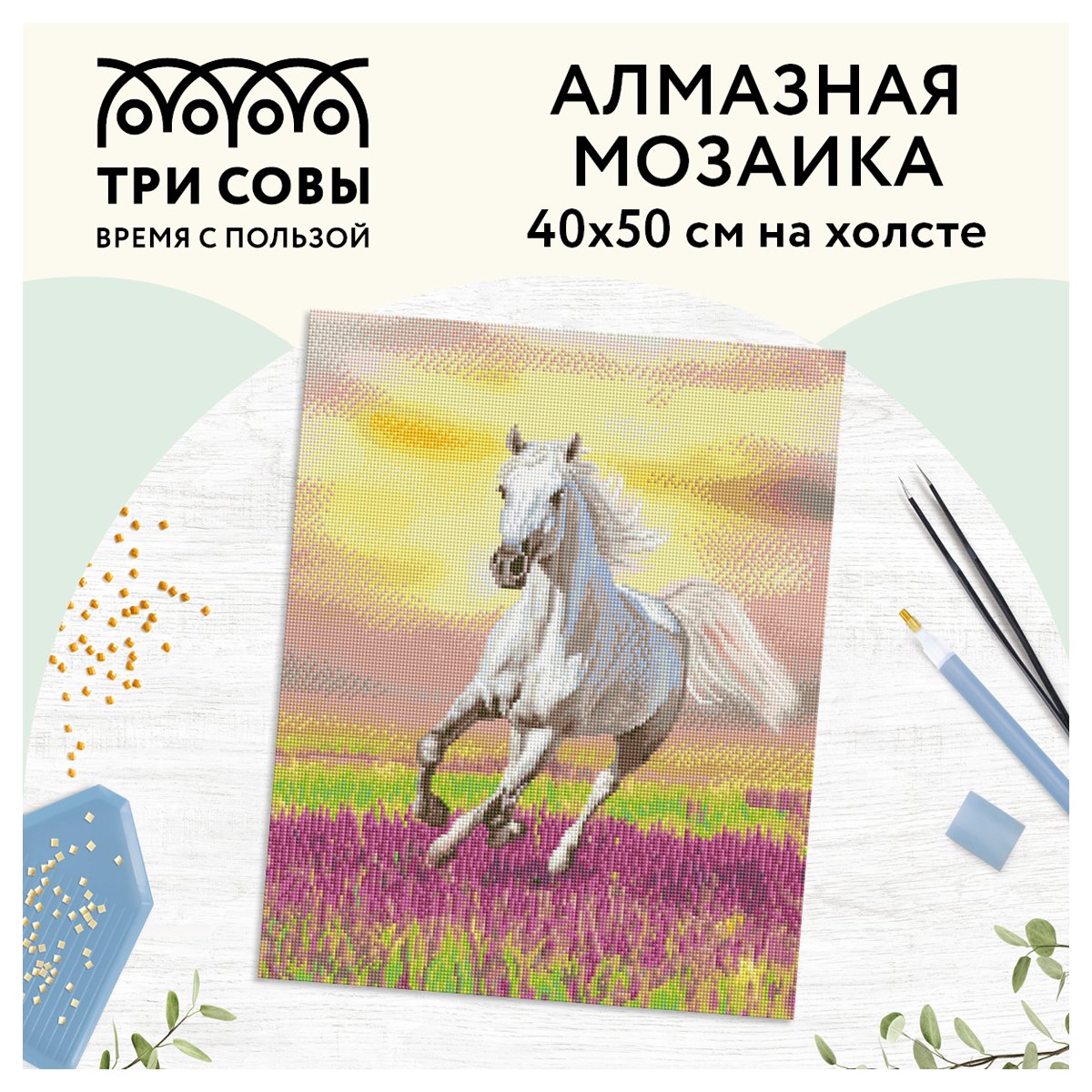 Алмазная мозаика ТРИ СОВЫ «Свобода», 40×50см, холст, картонная коробка с пластиковой ручкой