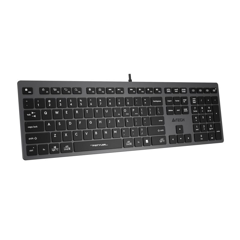 Клавиатура A4Tech Fstyler (FX50 GREY) серый USB slim Multimedia