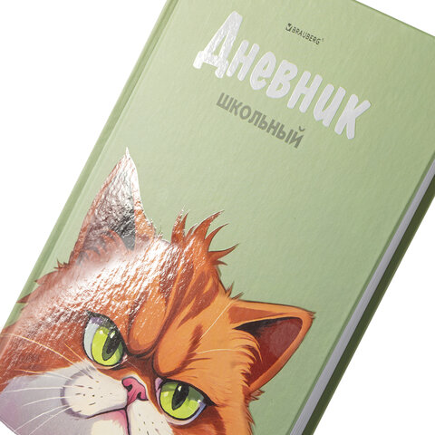 Дневник 5-11 класс 48 л., твердый, BRAUBERG, выборочный лак, с подсказом, «Суровый Кот»