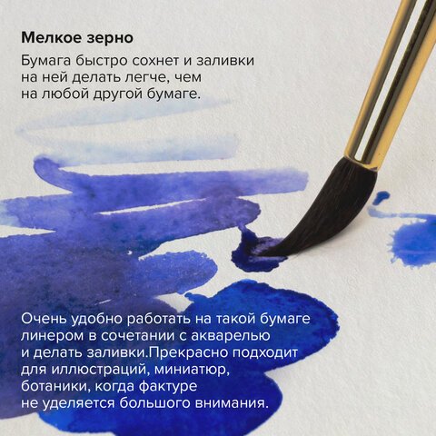 Папка для акварели/планшет, 300 г/м2, 270×390 мм, склейка, мелкое зерно, 20 л., BRAUBERG ART PREMIERE