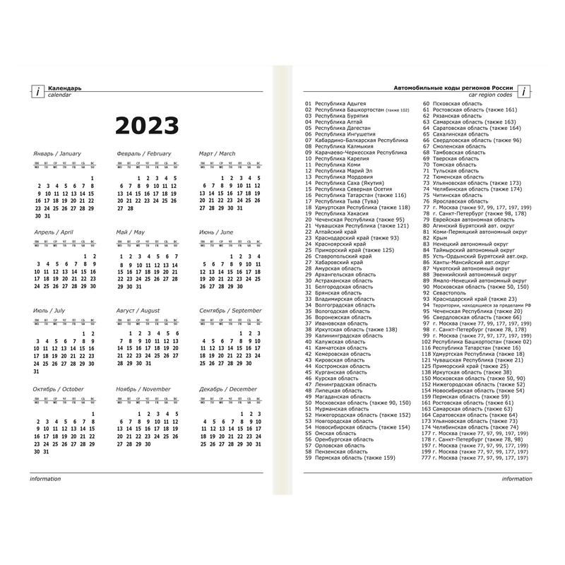 Ежедневник датированный 2023 год Attache Economy Кожа картон А5 160 листов (147×206 мм)