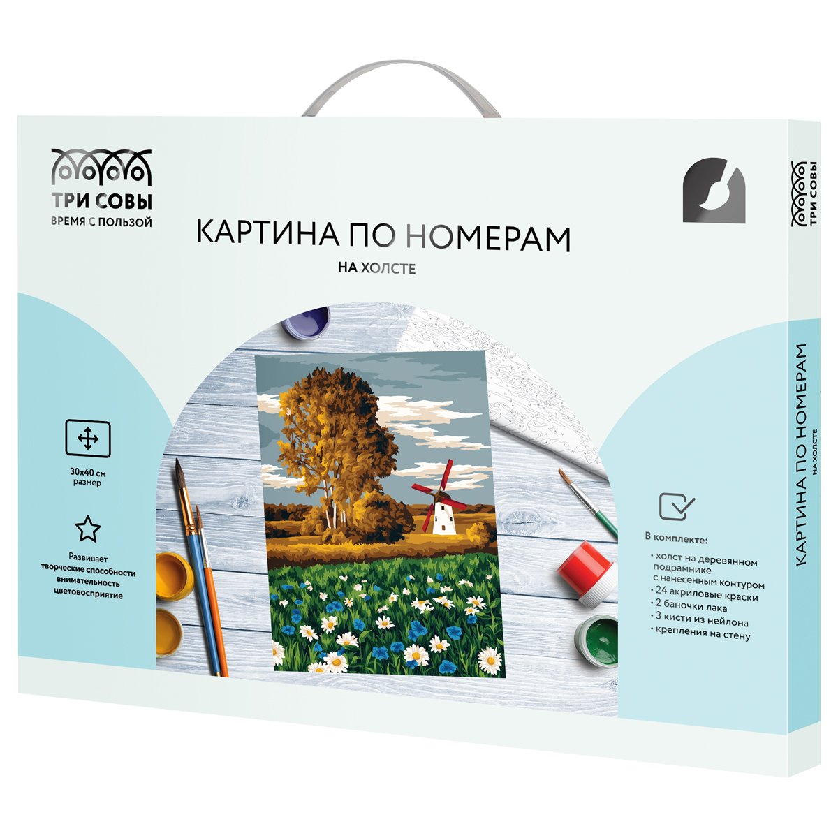 Картина по номерам на холсте ТРИ СОВЫ «Ромашковое поле», 30×40, с акриловыми красками и кистями