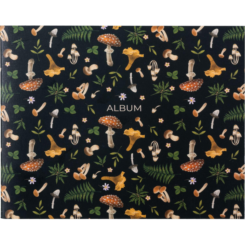 Альбом для рисован. КомусКласс Ночной лес40л 200×240мм обл. карт мат. лам. черн