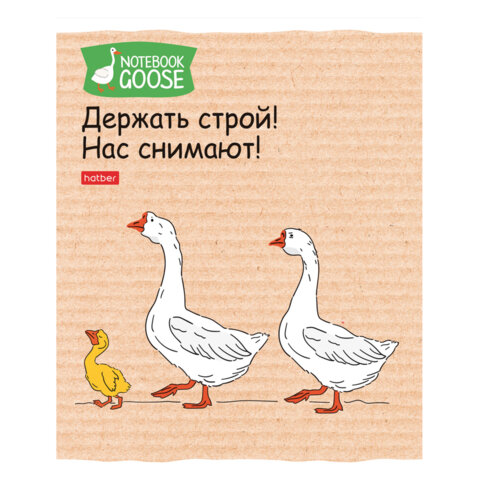 Тетрадь А5 48 л., HATBER скоба, клетка, обложка картон, «Гусь - веселюсь_Выпуск №2» (микс), 078789