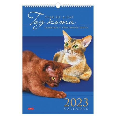 превью Календарь на гребне с ригелем, 2023 г., 30×45 см, ЛЮКС, «Кот», HATBER