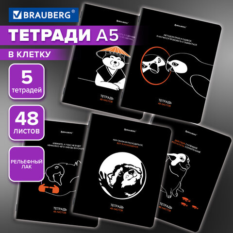 Тетради ДЭК А5 48 л. КОМПЛЕКТ 5 шт. BRAUBERG, скоба, клетка, TWIN-лак, «МЕМЫ»