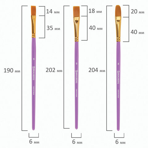 Кисти синтетика BRAUBERG, НАБОР 10 шт., фиолетовые (Круглые 2, 3, 4, 5, 8; Плоские 2, 5, 8; Лайнеры 1, 2/0)