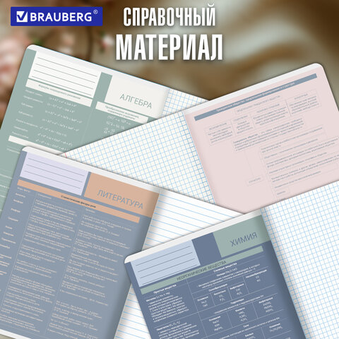 Тетради предметные, КОМПЛЕКТ 12 ПРЕДМЕТОВ 48 л., пластиковая обложка, BRAUBERG «MonoPastel»