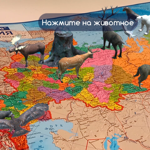 Карта России политико-административная 157×107см, 1:5.5М, интерактивная, европодвес, BRAUBERG