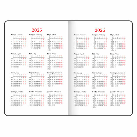 Еженедельник датированный 2025, А5, 145×215 мм, BRAUBERG «Party», под кожу, розовый