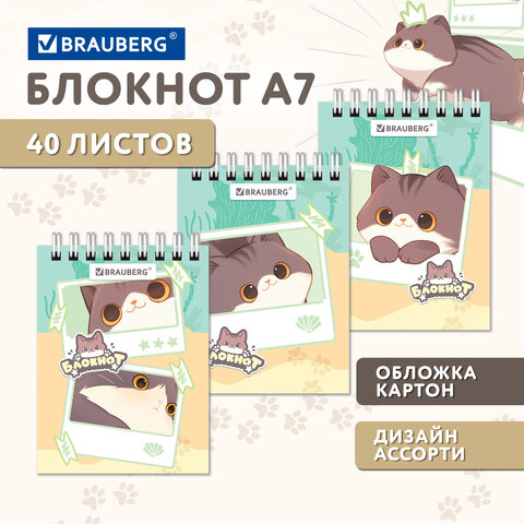 Блокнот МАЛЫЙ ФОРМАТ А7, 75×105 мм, 40 л., гребень, клетка, кросс-серия «МИЛЫЕ КОТЫ», BRAUBERG