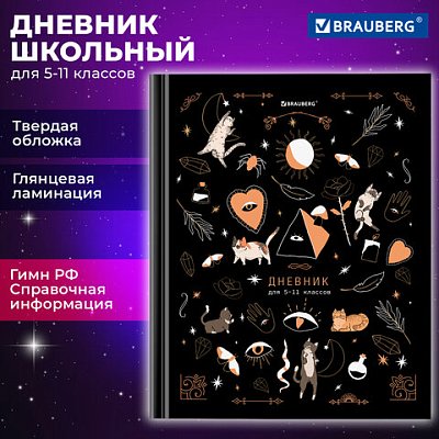 Дневник 5-11 класс 48 л., твердый, BRAUBERG, глянцевая ламинация, с подсказом, «Astro cats»