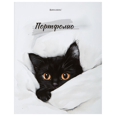 превью Папка-портфолио универсальная, 4 кольца, 20 файлов, 7БЦ матовая, BRAUBERG «Cat», 107557