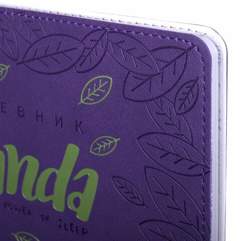 Дневник 1-11 класс 48 л., обложка кожзам (гибкая), термотиснение, фольга, BRAUBERG, «Panda»