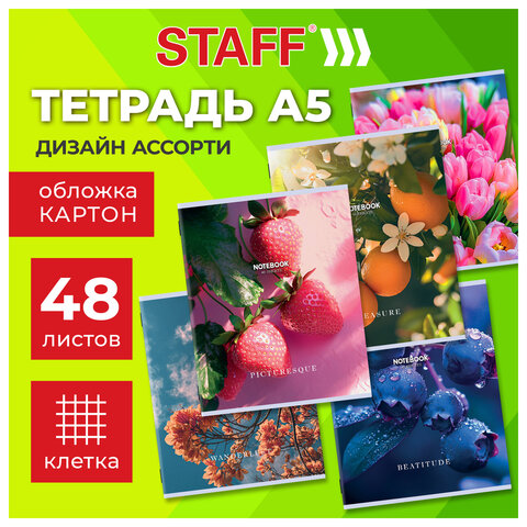 Тетрадь А5 48 л. STAFF «College», скоба, клетка, офсет №2 ЭКОНОМ, обложка картон, «ПРИРОДА»