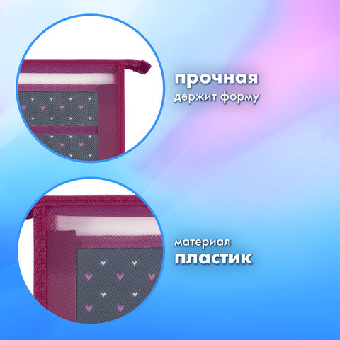 Папка для труда на молнии BRAUBERG А4, 2 отделения, органайзер, «Shining heart»