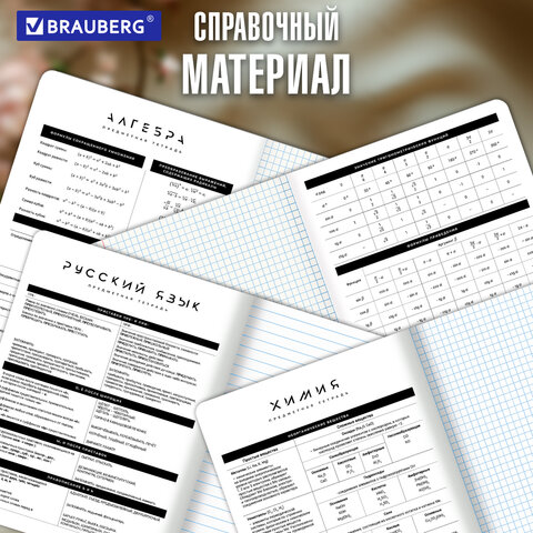 Тетради предметные, КОМПЛЕКТ 12 ПРЕДМЕТОВ 48 л., пластиковая обложка, BRAUBERG «BLACK MODE»