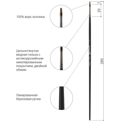 Кисть художественная проф. BRAUBERG ART CLASSIC, колонок, плоская, № 2, длинная ручка