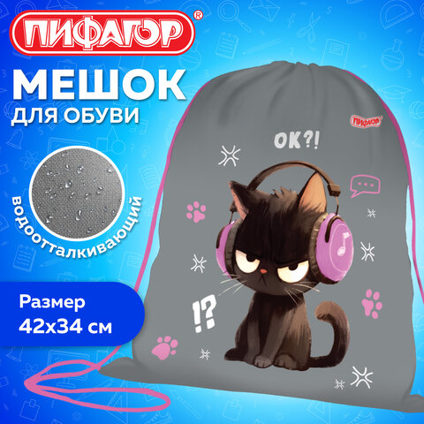 Мешок для обуви ПИФАГОР, 1 отделение, 42×34 см, «Меломан»