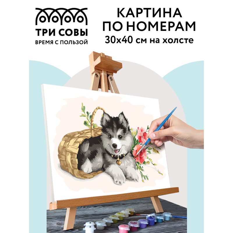 Картина по номерам на холсте ТРИ СОВЫ «Щенок хаски», 30×40, с акриловыми красками и кистями