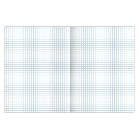 Тетради 24 л. КОМПЛЕКТ 10 шт. BRAUBERG «КЛАССИКА», клетка, обложка картон, ЗЕЛЕНАЯ