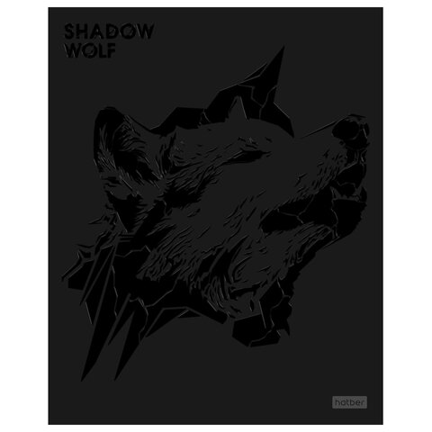 Тетрадь А5, 48 л., HATBER, скоба, клетка, матовая ламинация, 3D-лак, «Shadow» (микс в спайке), 093204