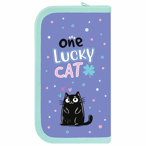 Пенал ПИФАГОР, 2 отделения, ламинированный картон, 19×11 см, «Funny cats»