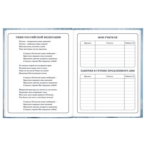 Дневник 1-4 класс 48 л., твердый, BRAUBERG, глянцевая ламинация, с подсказом, «Волк»