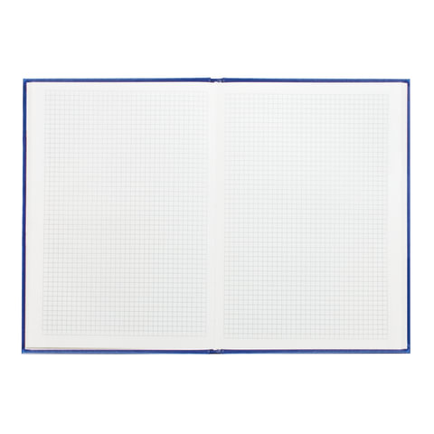 Книга учета, 160 л., А4, 195×280 мм, «Альт», бумвинил синий, фольга, клетка