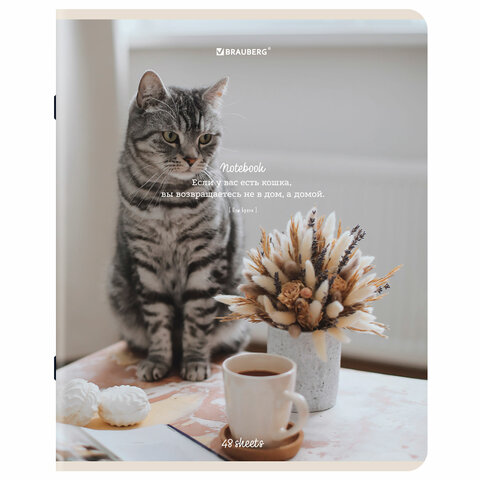 Тетрадь А5, 48 л., BRAUBERG, скоба, клетка, матовая ламинация, «Cats», (микс в спайке)