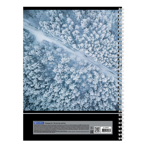 Тетрадь А4, 120 л., BRAUBERG гребень, клетка, обложка картон, «Seasons»